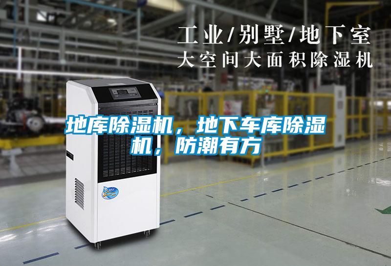 地庫除濕機，地下車庫除濕機，防潮有方