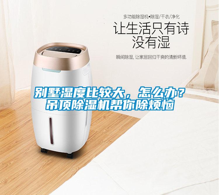 別墅濕度比較大，怎么辦？吊頂除濕機幫你除煩惱