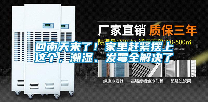 回南天來了！家里趕緊擺上這個，潮濕、發霉全解決了