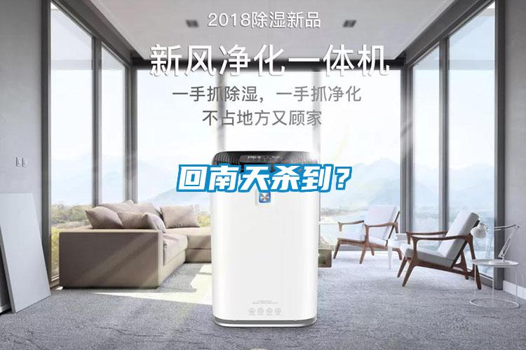 回南天殺到？