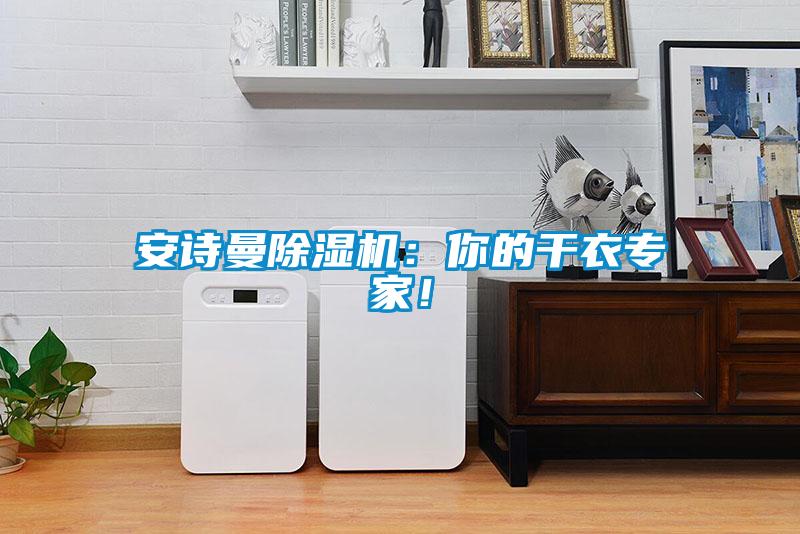 安詩曼除濕機：你的干衣專家！