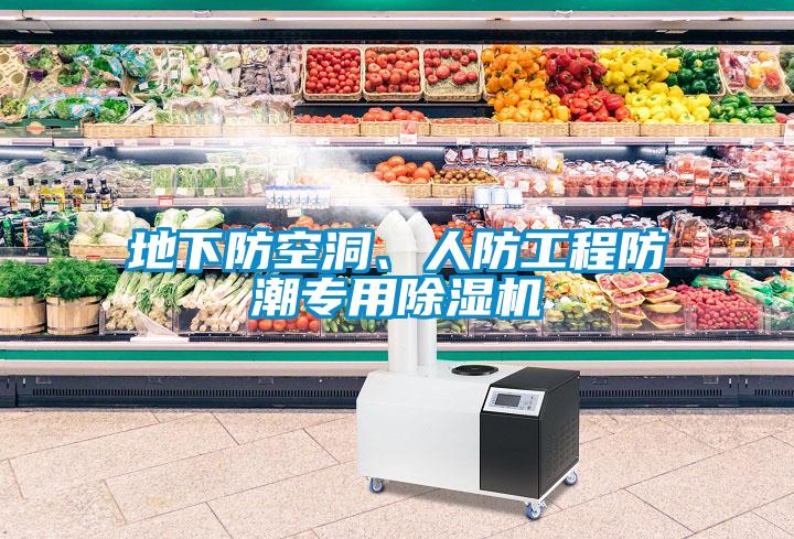 地下防空洞、人防工程防潮專用除濕機