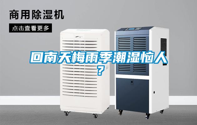 回南天梅雨季潮濕惱人？