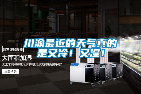 川渝最近的天氣真的是又冷！又濕！