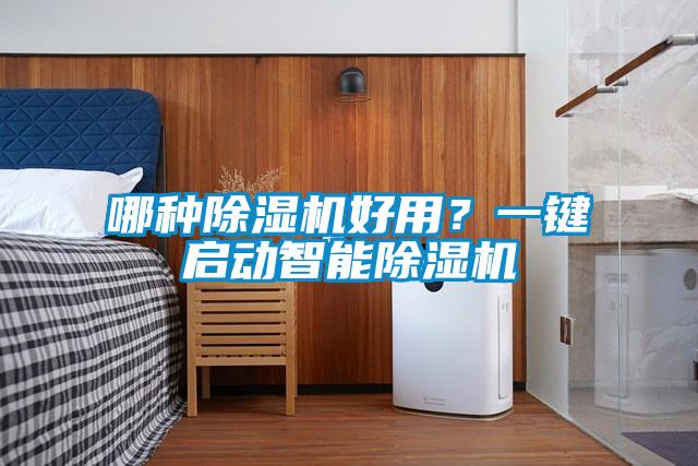 哪種除濕機好用？一鍵啟動智能除濕機