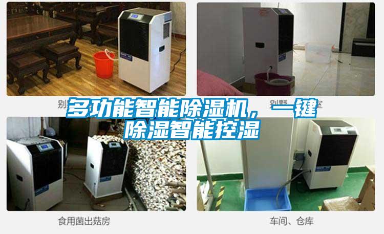 多功能智能除濕機，一鍵除濕智能控濕