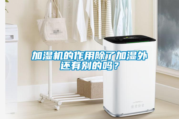 加濕機的作用除了加濕外還有別的嗎？