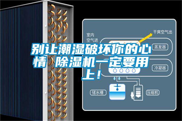 別讓潮濕破壞你的心情 除濕機一定要用上！