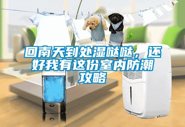 回南天到處濕噠噠，還好我有這份室內防潮攻略