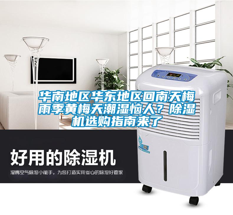 華南地區華東地區回南天梅雨季黃梅天潮濕惱人？除濕機選購指南來了