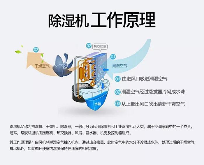 南有“濕冷”北有“霧霾”該咋辦？