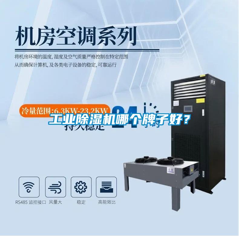 工業除濕機哪個牌子好？