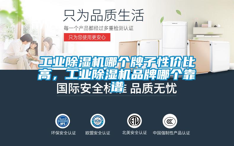 工業除濕機哪個牌子性價比高，工業除濕機品牌哪個靠譜