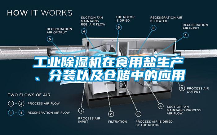 工業除濕機在食用鹽生產、分裝以及倉儲中的應用