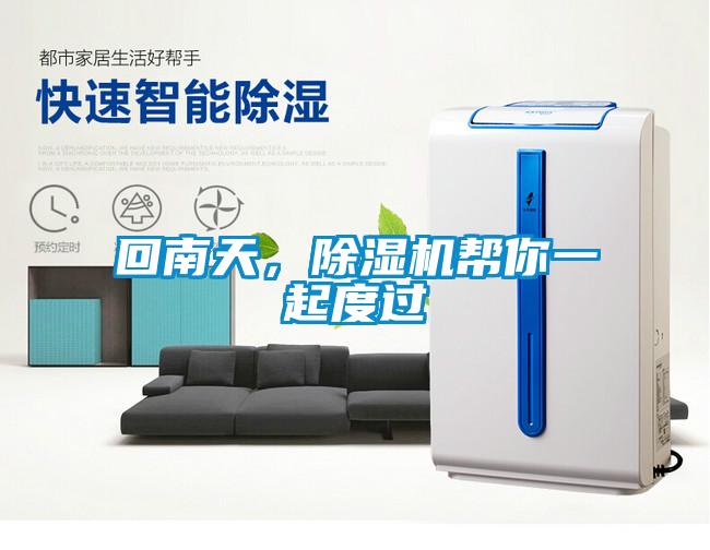 回南天，除濕機幫你一起度過
