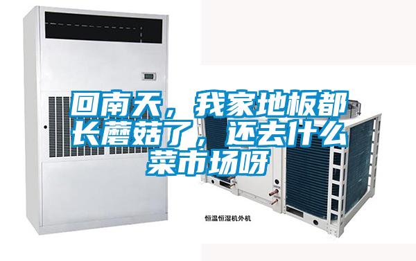 回南天，我家地板都長蘑菇了，還去什么菜市場呀