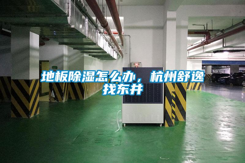 地板除濕怎么辦，杭州舒逸找東井
