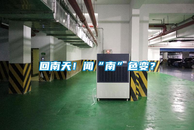 回南天！聞“南”色變？