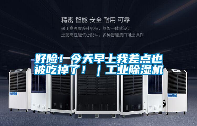 好險！今天早上我差點也被吃掉了！｜工業除濕機