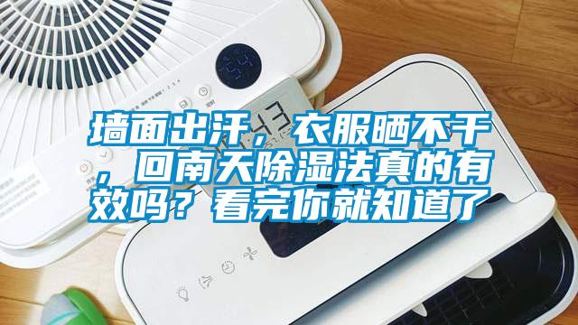 墻面出汗，衣服曬不干，回南天除濕法真的有效嗎？看完你就知道了