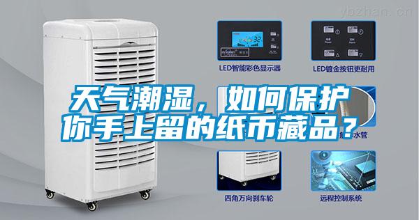 天氣潮濕，如何保護你手上留的紙幣藏品？