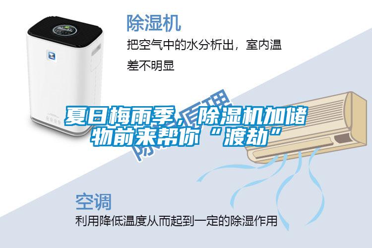夏日梅雨季，除濕機加儲物前來幫你“渡劫”