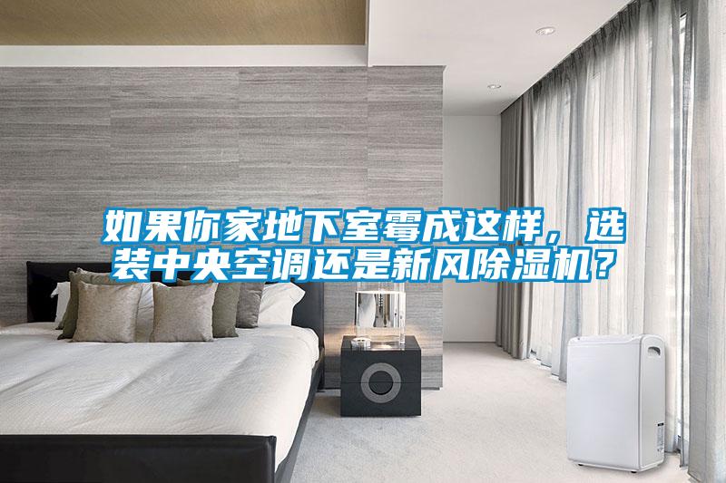 如果你家地下室霉成這樣，選裝中央空調還是新風除濕機？