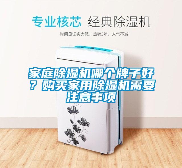 家庭除濕機哪個牌子好？購買家用除濕機需要注意事項