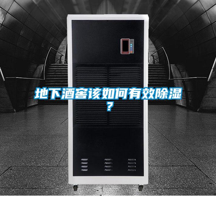 地下酒窖該如何有效除濕？
