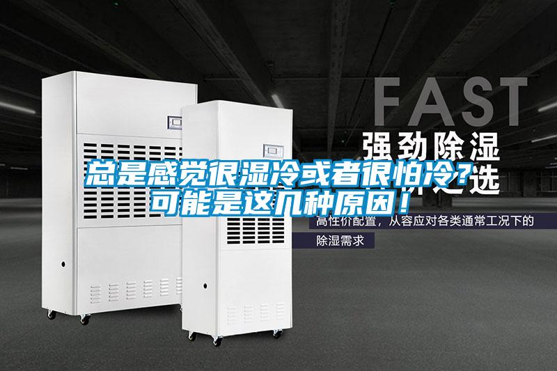 總是感覺很濕冷或者很怕冷？可能是這幾種原因！