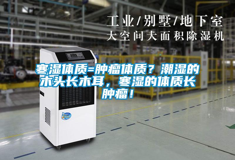 寒濕體質=腫瘤體質？潮濕的木頭長木耳，寒濕的體質長腫瘤！