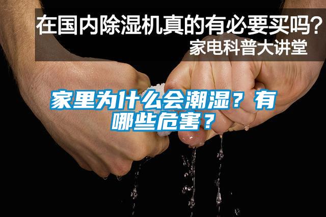 家里為什么會潮濕？有哪些危害？
