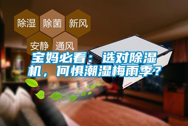 寶媽必看：選對除濕機，何懼潮濕梅雨季？