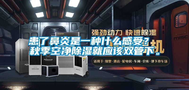 患了鼻炎是一種什么感受？ 秋季空凈除濕就應該雙管下。
