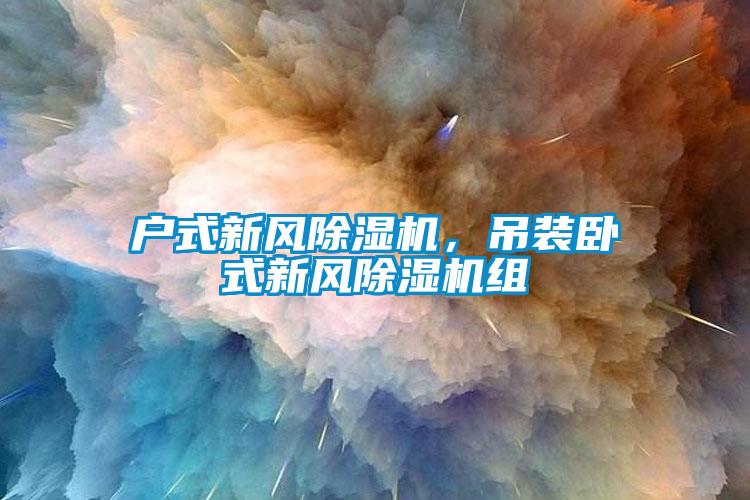 戶式新風除濕機，吊裝臥式新風除濕機組