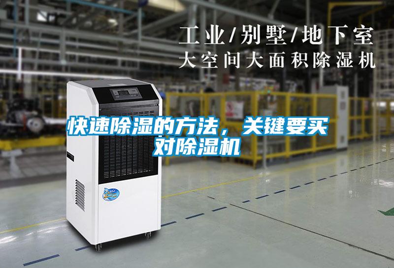 快速除濕的方法，關鍵要買對除濕機