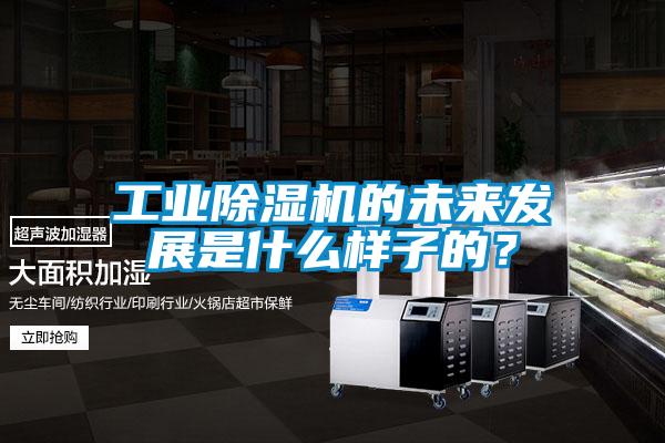 工業除濕機的未來發展是什么樣子的？