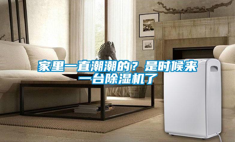 家里一直潮潮的？是時候來一臺除濕機了