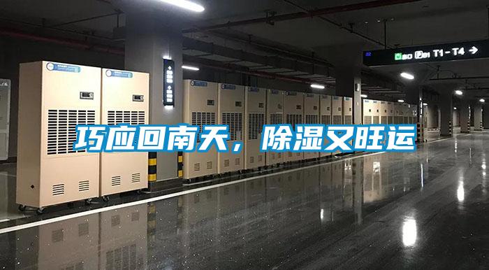 巧應回南天，除濕又旺運