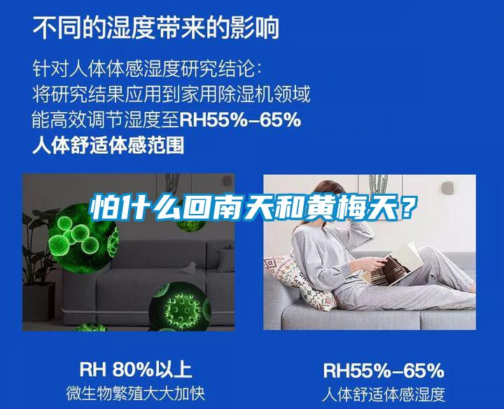 怕什么回南天和黃梅天？