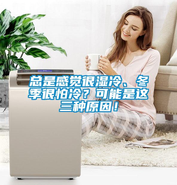總是感覺很濕冷、冬季很怕冷？可能是這三種原因！