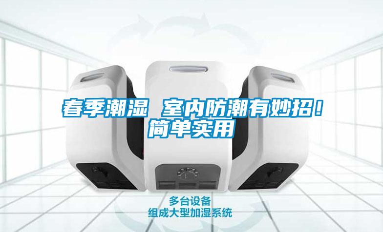 春季潮濕 室內防潮有妙招！簡單實用