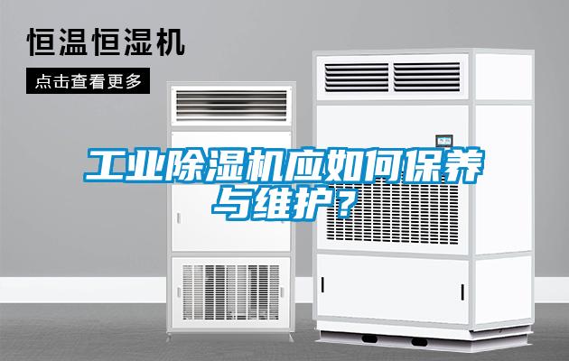 工業除濕機應如何保養與維護？