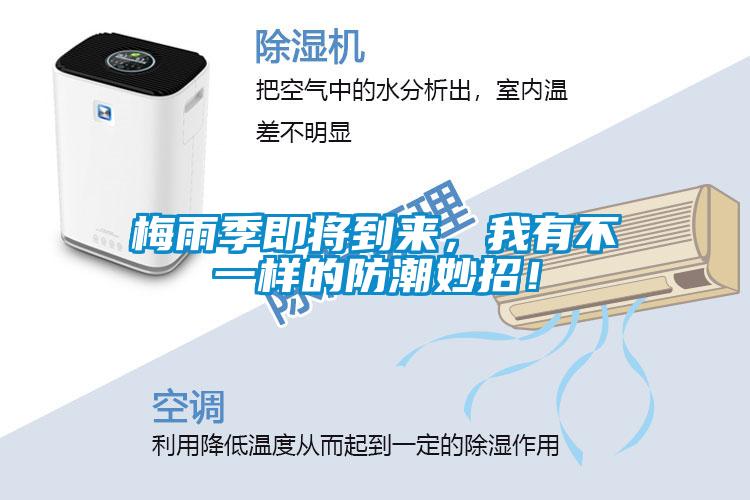 梅雨季即將到來，我有不一樣的防潮妙招！