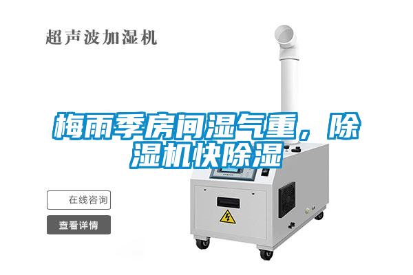 梅雨季房間濕氣重，除濕機快除濕