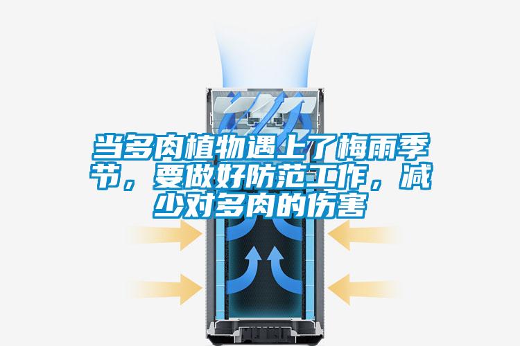 當多肉植物遇上了梅雨季節，要做好防范工作，減少對多肉的傷害