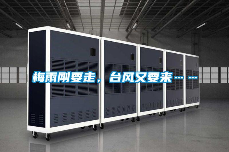 梅雨剛要走，臺風又要來……
