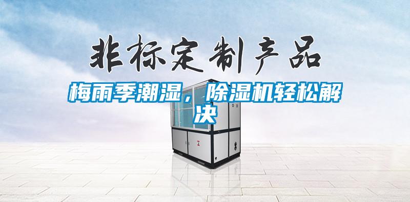 梅雨季潮濕，除濕機輕松解決