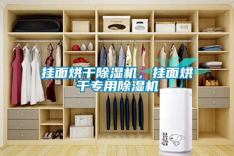 掛面烘干除濕機，掛面烘干專用除濕機