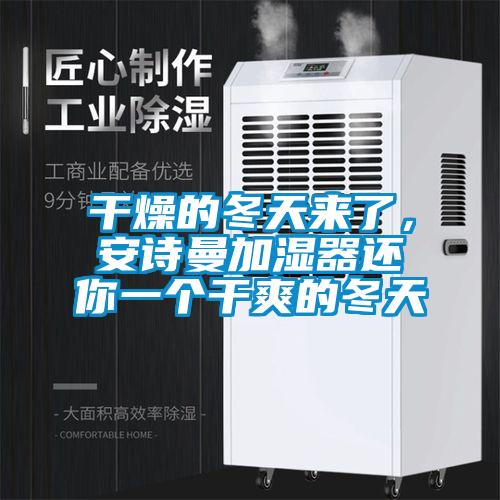 干燥的冬天來了，安詩曼加濕器還你一個干爽的冬天